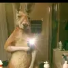 stevenleiva655 - @stevenleiva655 - TikTok