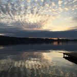 Steven Lemon - @srlfish13 - Instagram