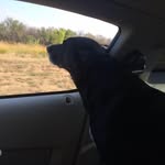 Steven Lerner - @slerner68 - Instagram