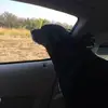 stevenlerner861 - @stevenlerner861 - TikTok