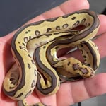 Steven W. Leuck - @steven.leuck - Instagram