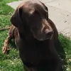 Steven Levick - @user326208243978 - TikTok