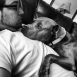 Steve Leyba - @daaaatsteven - Instagram