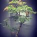 Steven Lieu - Facebook