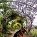 Steven Lightfoot - Facebook