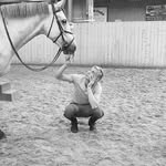 Steven Little show jumping - @steven.little_sj - Instagram
