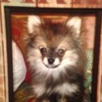 Steve Logsdon - @cubbylogsdon - Instagram