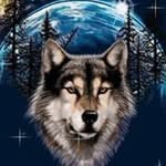 Steve Longstreet - @steve.longstreet - Instagram