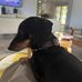 Steve Longworth - Facebook