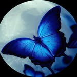 steven loveridge - @durerblue - Instagram