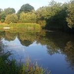 Bill Lowrey - @stevenlowrey1961 - Instagram