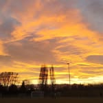 Steven - @steven_luntcookson - Instagram