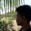 marksteven lupera - @markstevenlupera - TikTok
