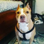 Steven Lusk - @lusk6585 - Instagram