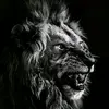 Steven Lyon - @stevenlyon8 - TikTok