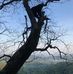 Steve Lytle - Facebook