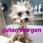 steven.maass😃😃😃😃 - @steven.maass.1324 - Instagram
