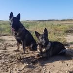 Steven Mabbett - @mabbettsteven - Instagram