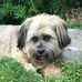 Steven MacGregor - Facebook