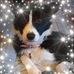Steven MacGregor - Facebook