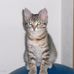 Steven Maciel - Facebook