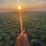 Steve MacIntyre - @steve_macintyre33 - Instagram