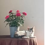 Steve Maddocks - @steve.maddocks.54 - Instagram
