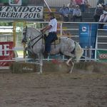 Steven Madrigal Alvarado - @stevenmadrigalal - Instagram