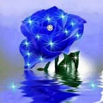 Saam.steven@mail.ru - @saam.stevenmail.ru - Instagram