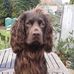 Steve Maines - Facebook
