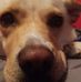 Steven Maines - Facebook