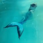 Steven tavaniFX - @mer.mako_steven.tavani.fx - Instagram