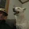 Steven Mancha - @stevenmancha - TikTok