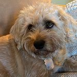 Steve Marcoux - @ackmarcoux - Instagram