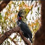 Steven Marks - @stevenmarks1961 - Instagram