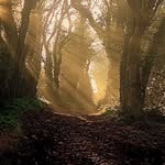 Steven Marks - @stevenmarks548 - Instagram