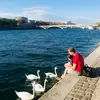 TDCHL - @marks.steven - TikTok
