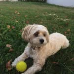 Steven Marrero - @summithvac - Instagram