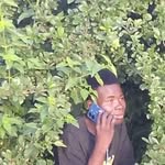 Steven Martene - @stevenmartene - Instagram