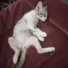 stevenmassingill - @stevenmassingill - TikTok