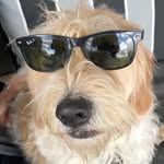 Stephen Masterson - @stephenmasterson - Instagram