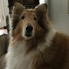 stevenmatheson - @stevenmatheson - TikTok