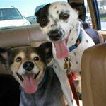 Steve-Linda Mattern - @stevelindamattern - Instagram