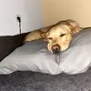 Steven Mattern - @steven.mattern - TikTok