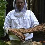 Steve Mattison - @beeandbramble - Instagram