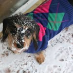 Steven Mauldin - @stevenmauldin - Instagram