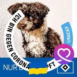 Max_n_Steve - @steve_n_max - Instagram