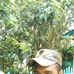 Steven Max - Facebook