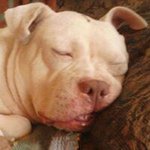 Steven Maynard - @steven.maynard.169 - Instagram