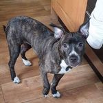 Steven Maynard - @steven.maynard.5268 - Instagram